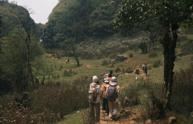 Nhóm bạn trẻ trekking leo núi giữa thiên nhiên xanh mát hành trình chữa lành